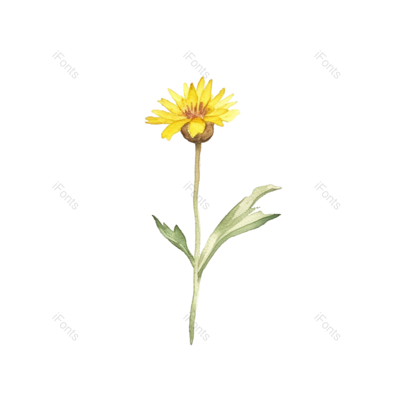 装饰图片,向日葵手绘元素,花草PNG,花朵免抠素材